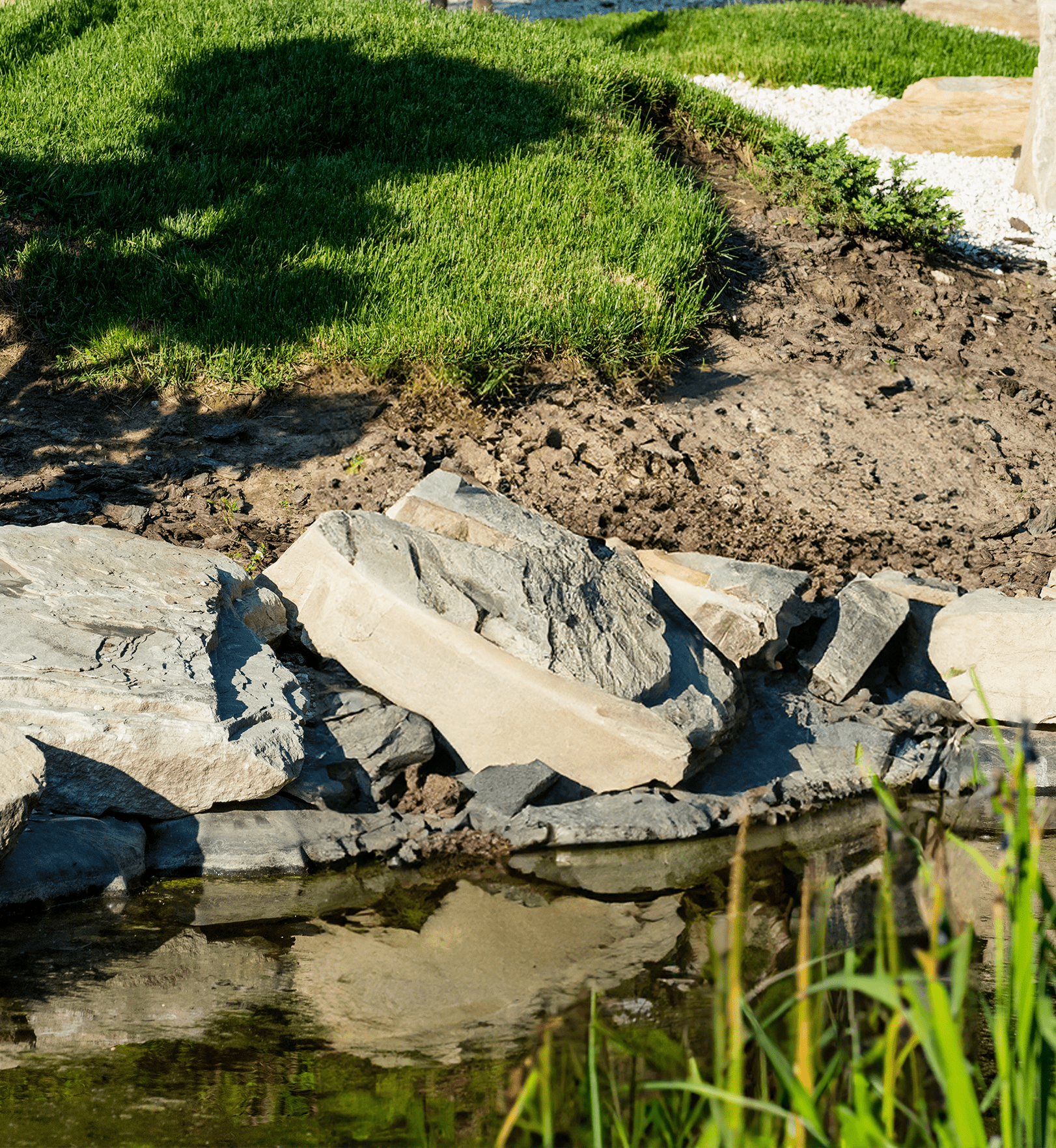 pond being excavated