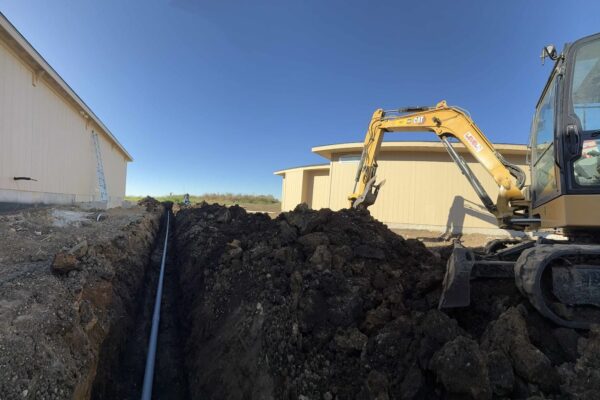 95020b5a-22b4-42bd-9749-553928d6d705